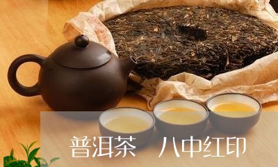 普洱茶 八中红印/2023033096238